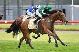 Dark Princess (NZ) (Cape Blanco) takes her earnings to $115,685 after taking out the Group 3 Thompson Handicap.